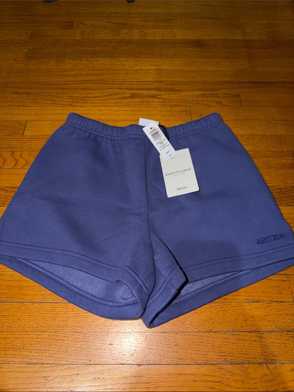 Aritzia Perfect Hi Mini Shorts